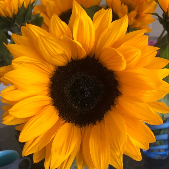 Meet The Posher - Picture 7 of 12